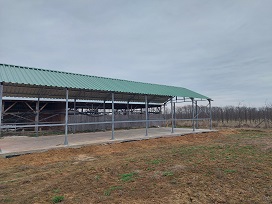 REXEM Kft. referencia